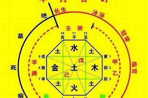 八字 查詢|生辰八字算命、五行喜用神查詢（免費測算）